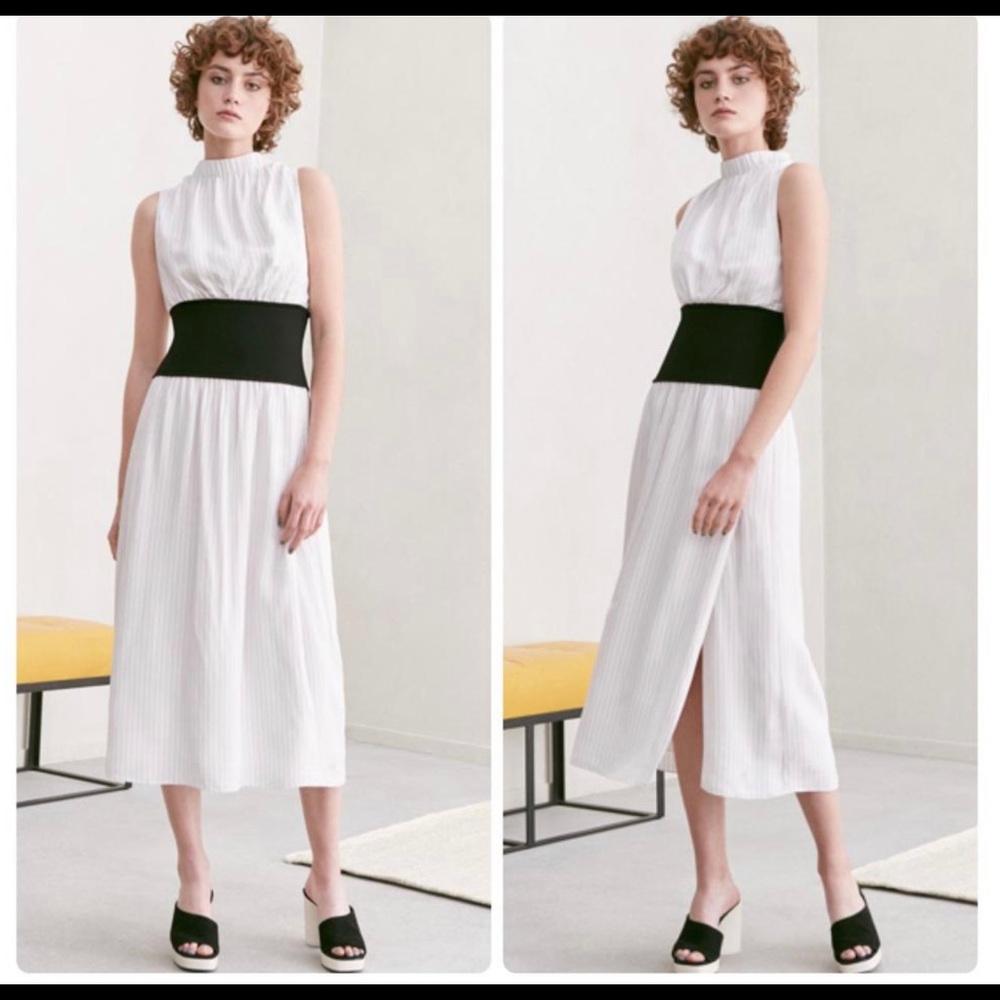 Lewit Dress - NWOT